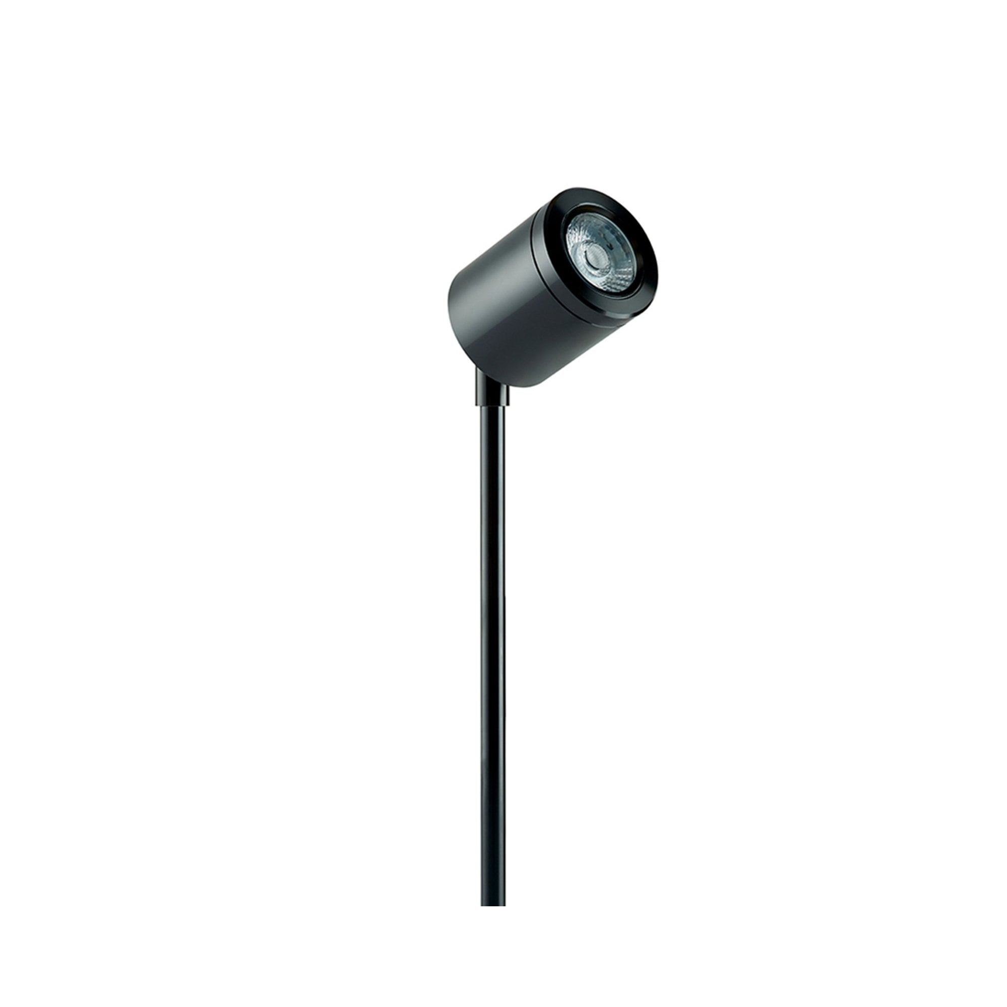 Collingwood SL220 LED Spike Light - Black - Low Voltage