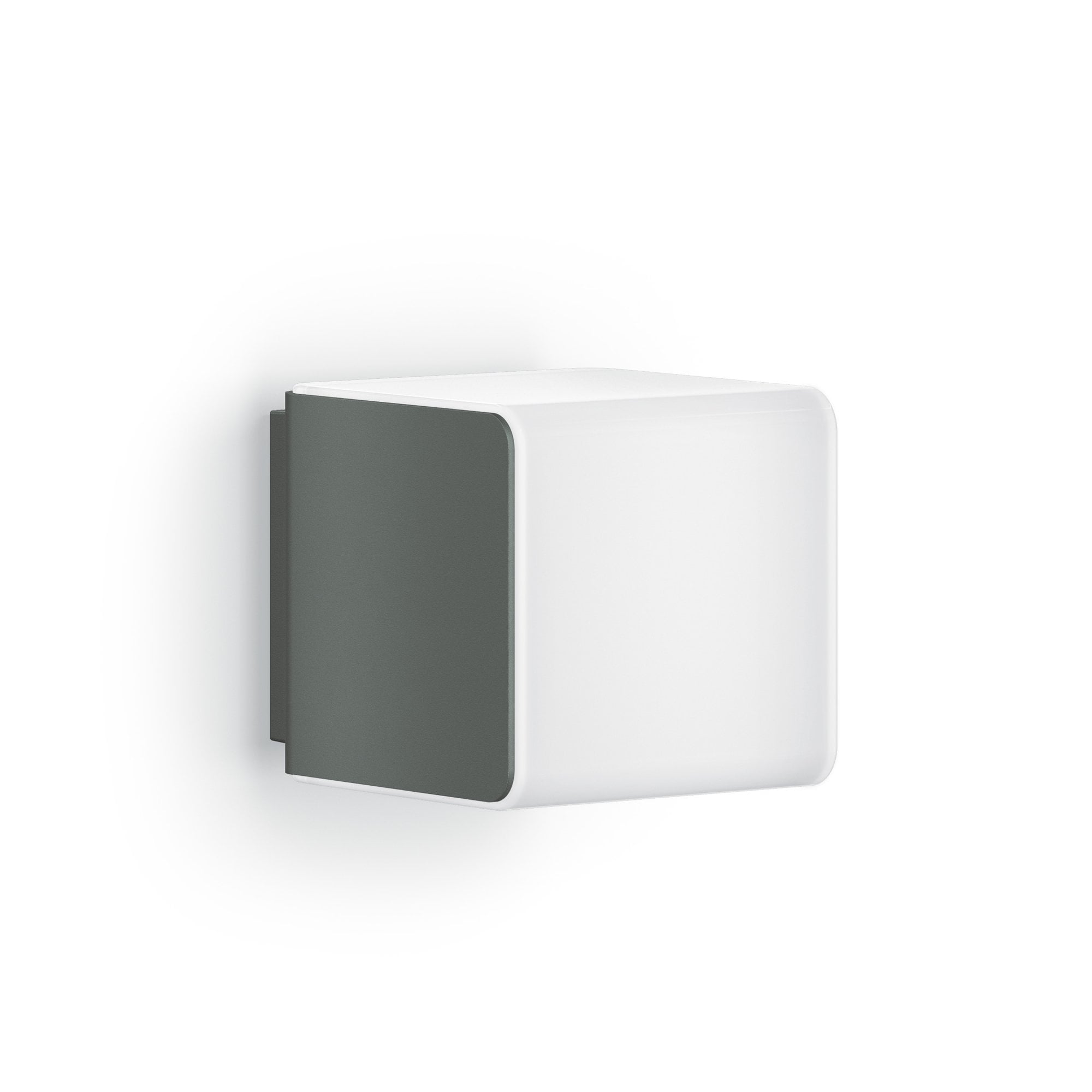 Steinel L 830 C with Bluetooth (Without Motion Detector) - Anthracite