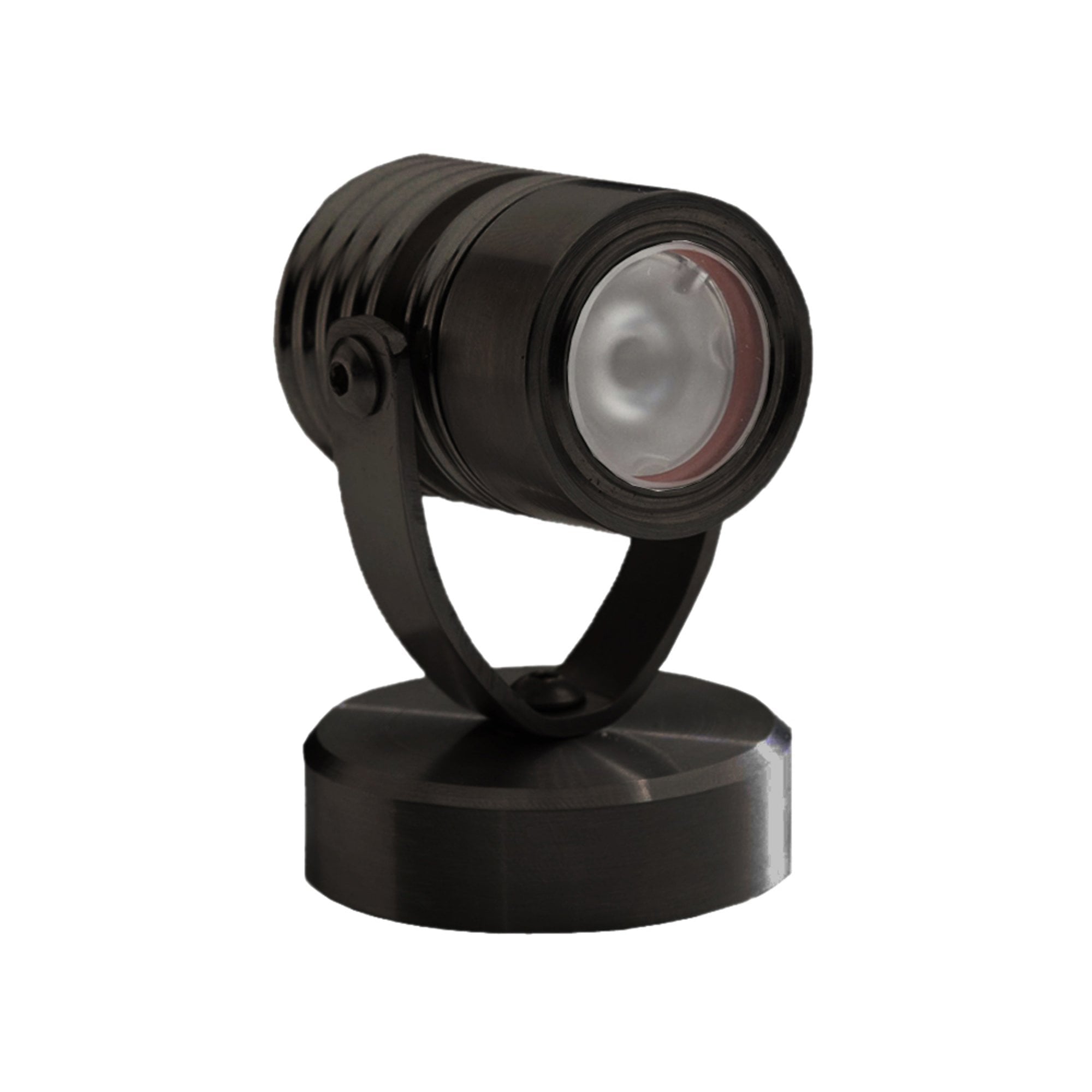 LuxR Modux 1 Pond Light (Weighted Base) with 12V Integral Driver - Powder Coat - Low Voltage