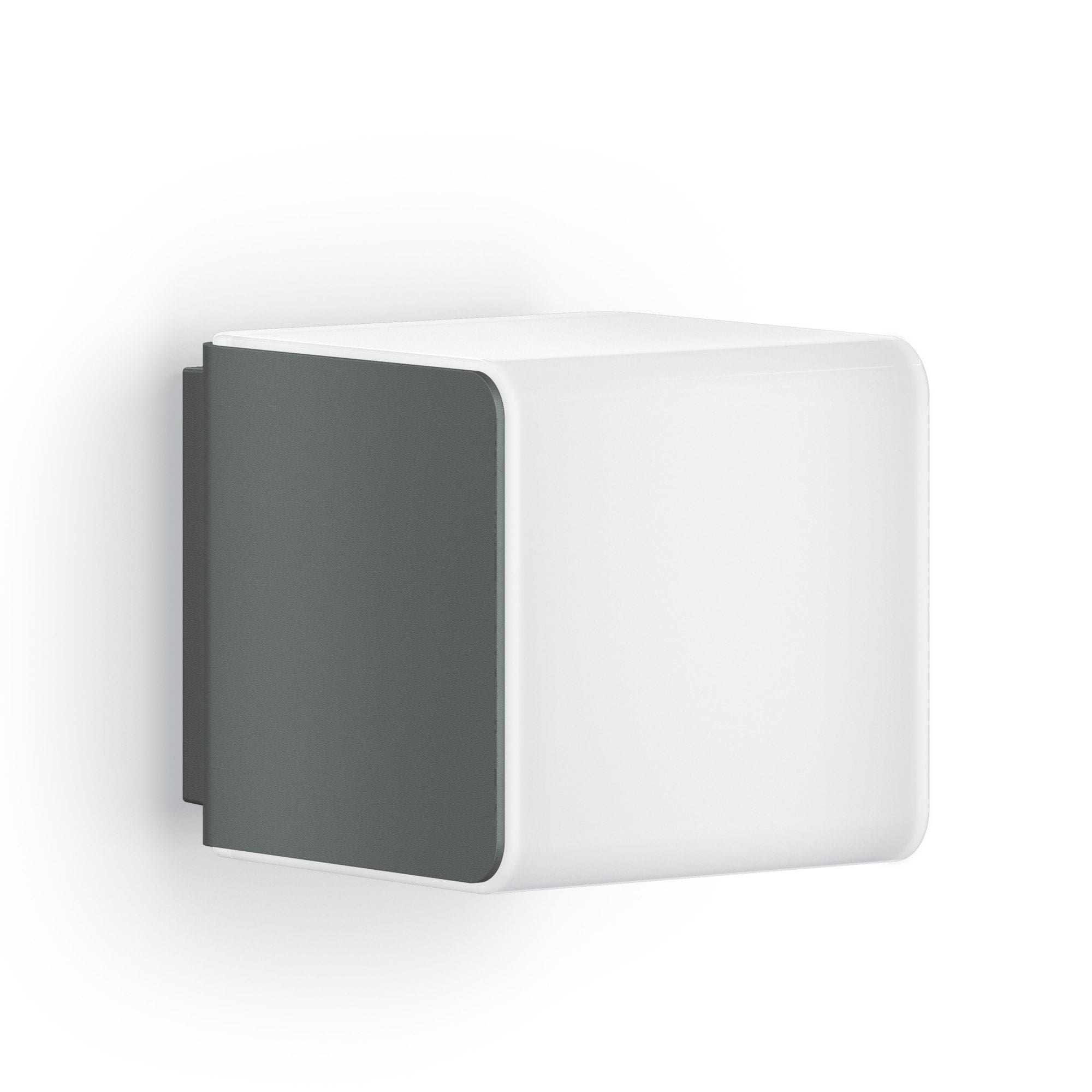 Steinel L 830 C with Bluetooth (Without Motion Detector) - Anthracite